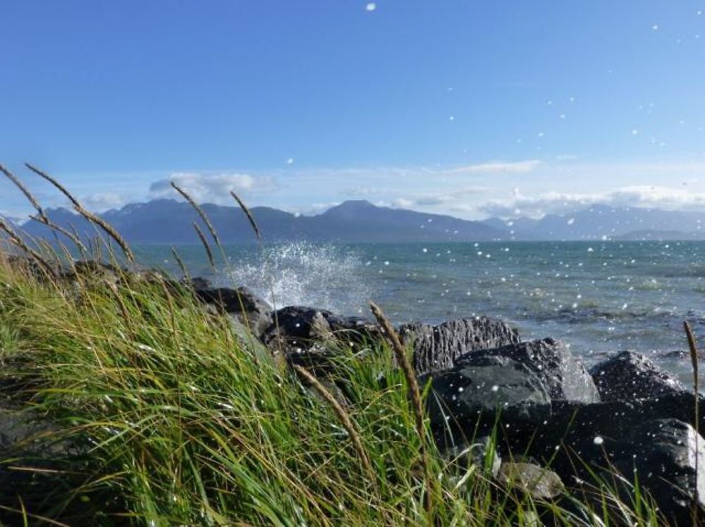 Homer spit Alaska