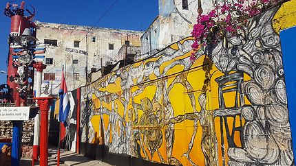 Street art à la Havane calle Hamel