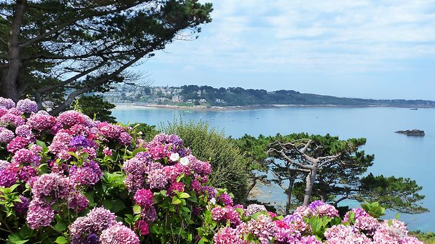 Perros-Guirec En été : Fleurs : Perros-Guirec (Perroz-Gireg) : Côte De ...