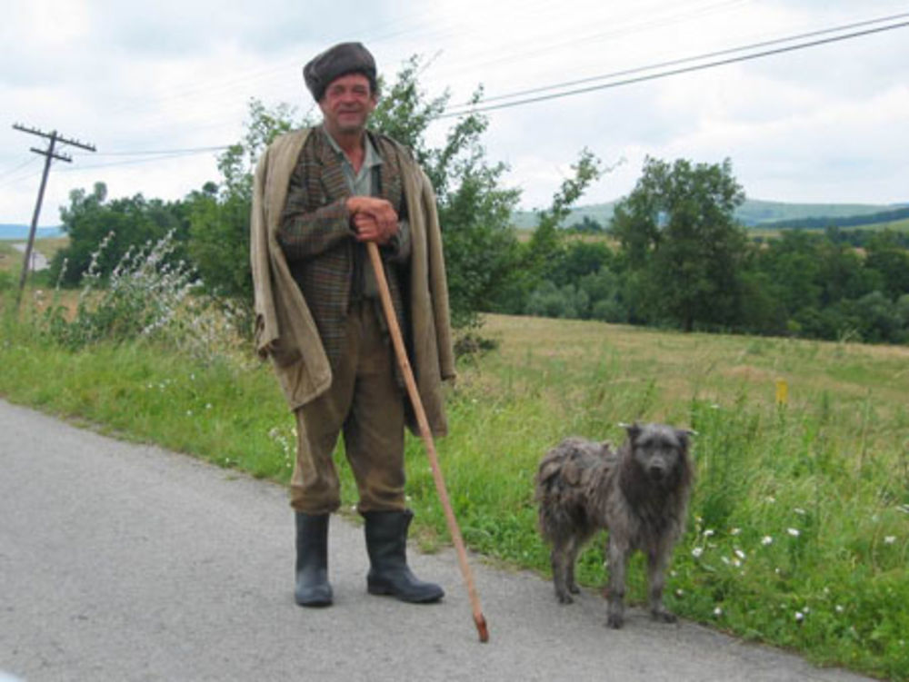 Berger et son compagnon au bord de la route