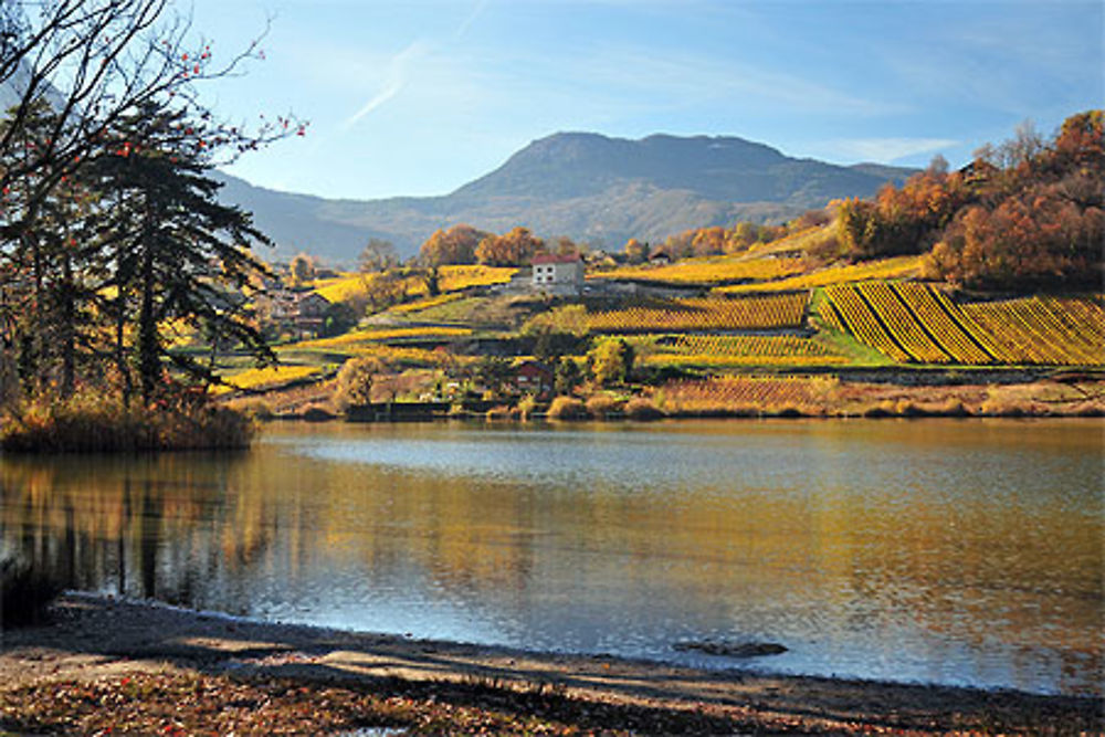 Lac St André