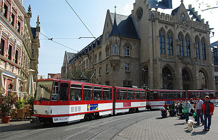 Das erfurter "Rathaus" Das erfurter "Rathaus"
