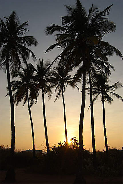 Coucher de soleil à Goa