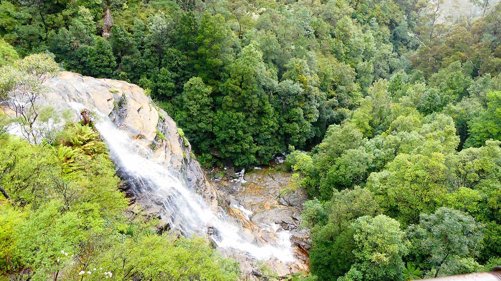 Cascade de Leura