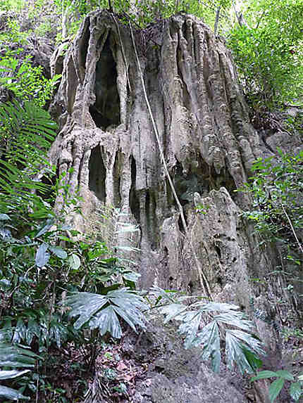 Krabi, le parc national de Than Bokkharani