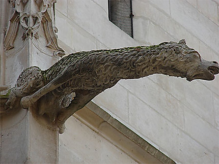 Gargouille cathédrale de Troyes