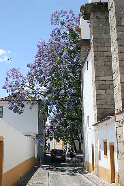 Une rue d'Evora