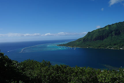 Baie D'Opunohu, Moorea, Polynésie