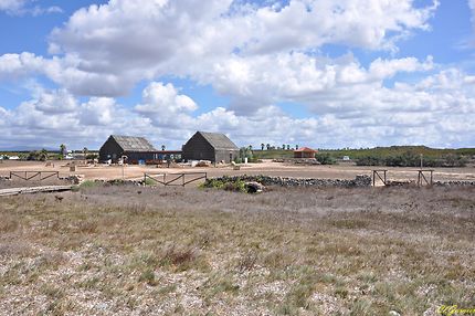 Spiaggia Is Arutas - Plage aux grains de riz