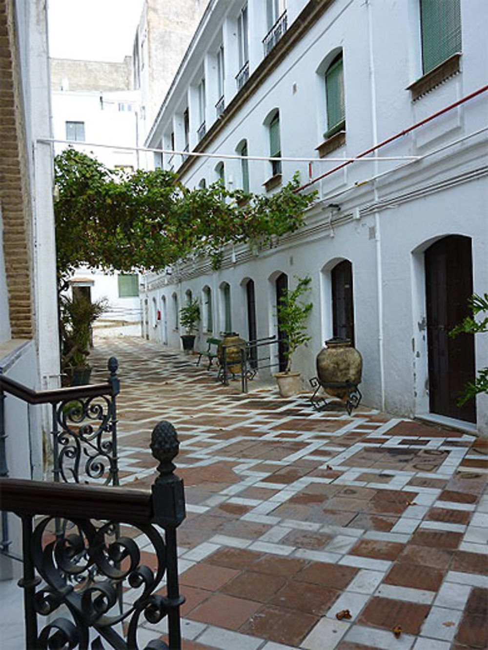 Hopital de la Santa Caridad