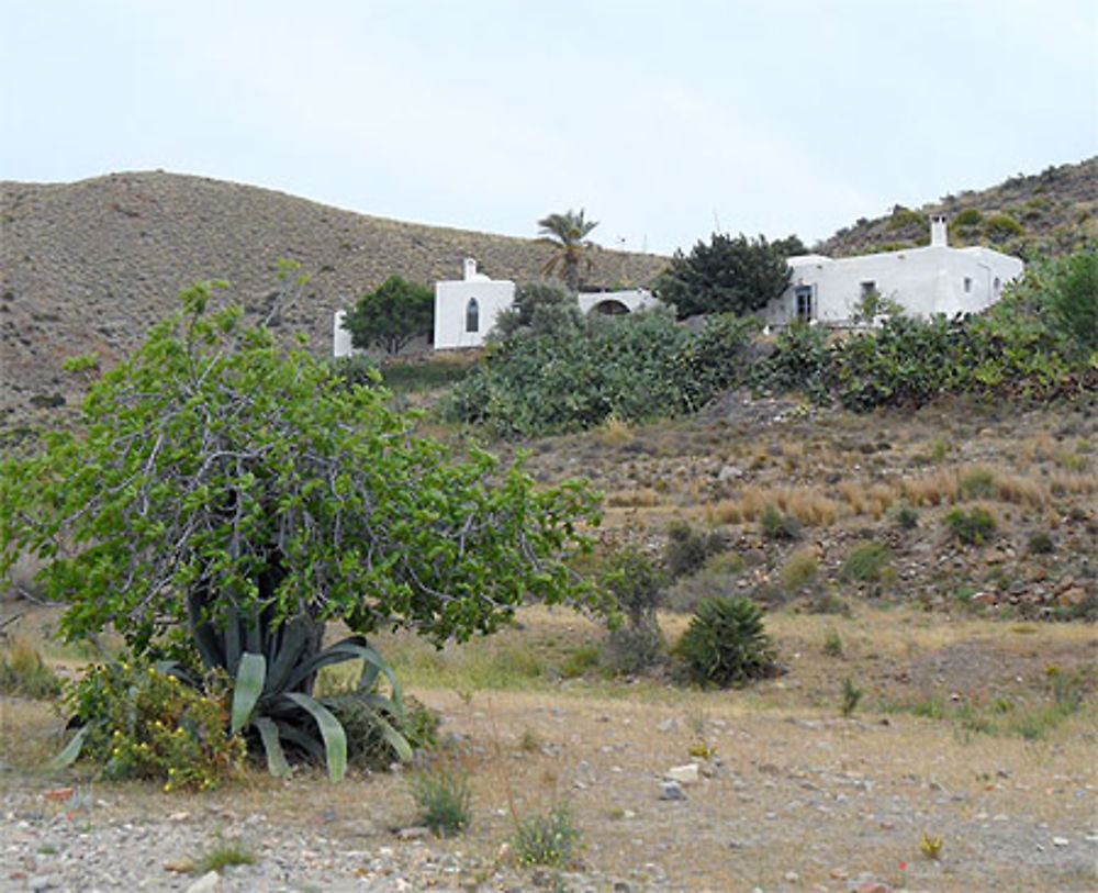 Cortijo