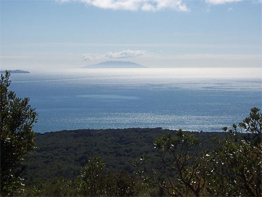 Vu sur le Pacifique du haut de Rangitoto