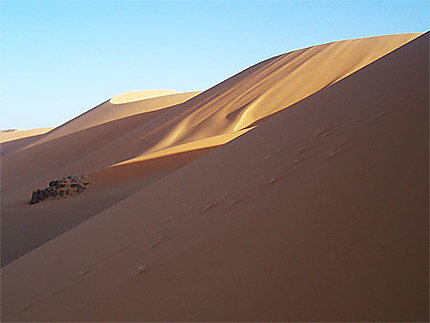 Sahara sud algérie