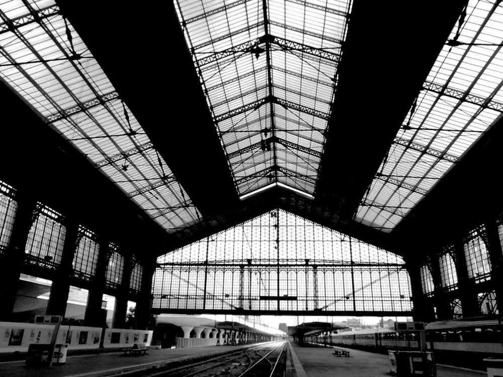 Verrière de la gare d'Austerlitz