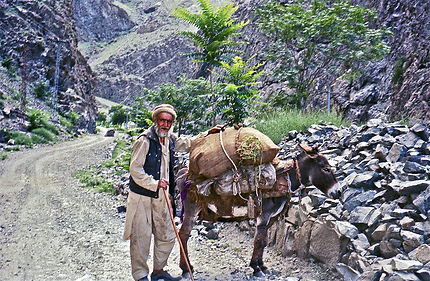 Un paysan dans la vallée de Kargah