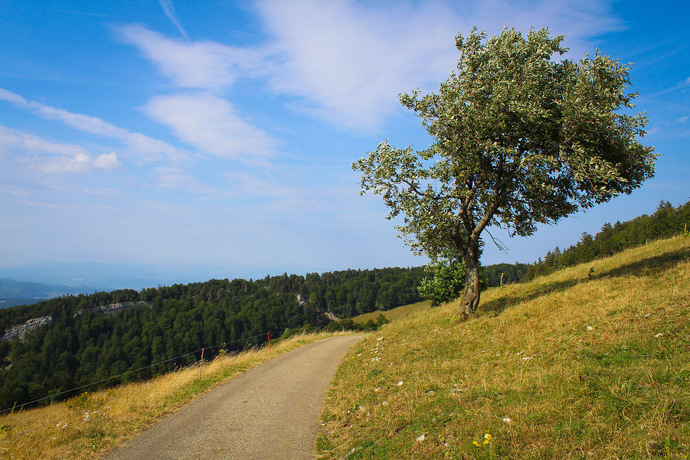 Col du Passwang, Suisse