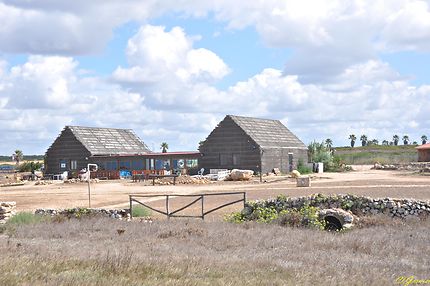 Spiaggia Is Arutas - Plage aux grains de riz