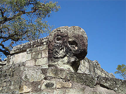 Sculpture d'ara macao