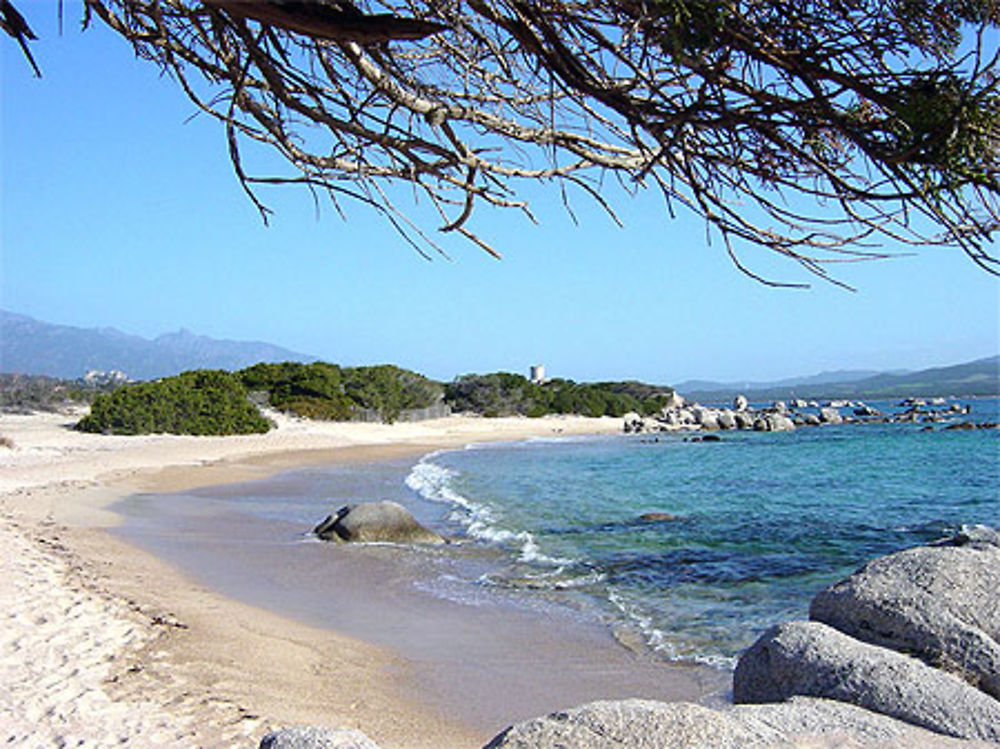 Une plage à Pianottoli.