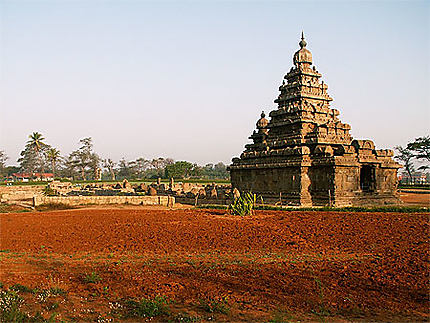Mahabalipuram - Shore temple