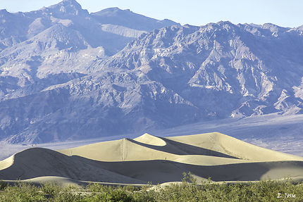 La dune dans la Vallée de la mort