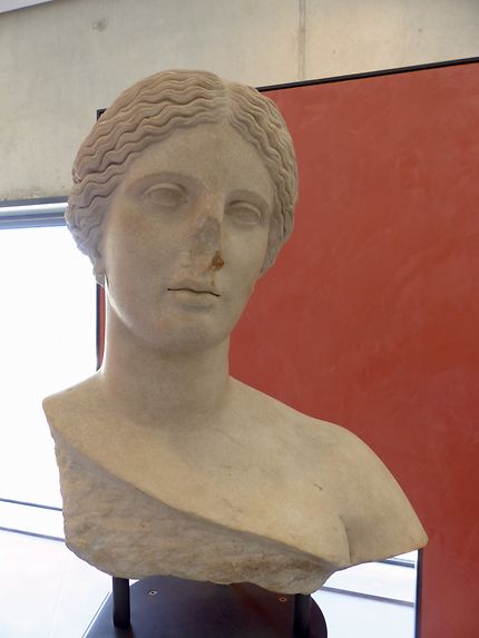 Buste de Venus Musée de l’Arles antique