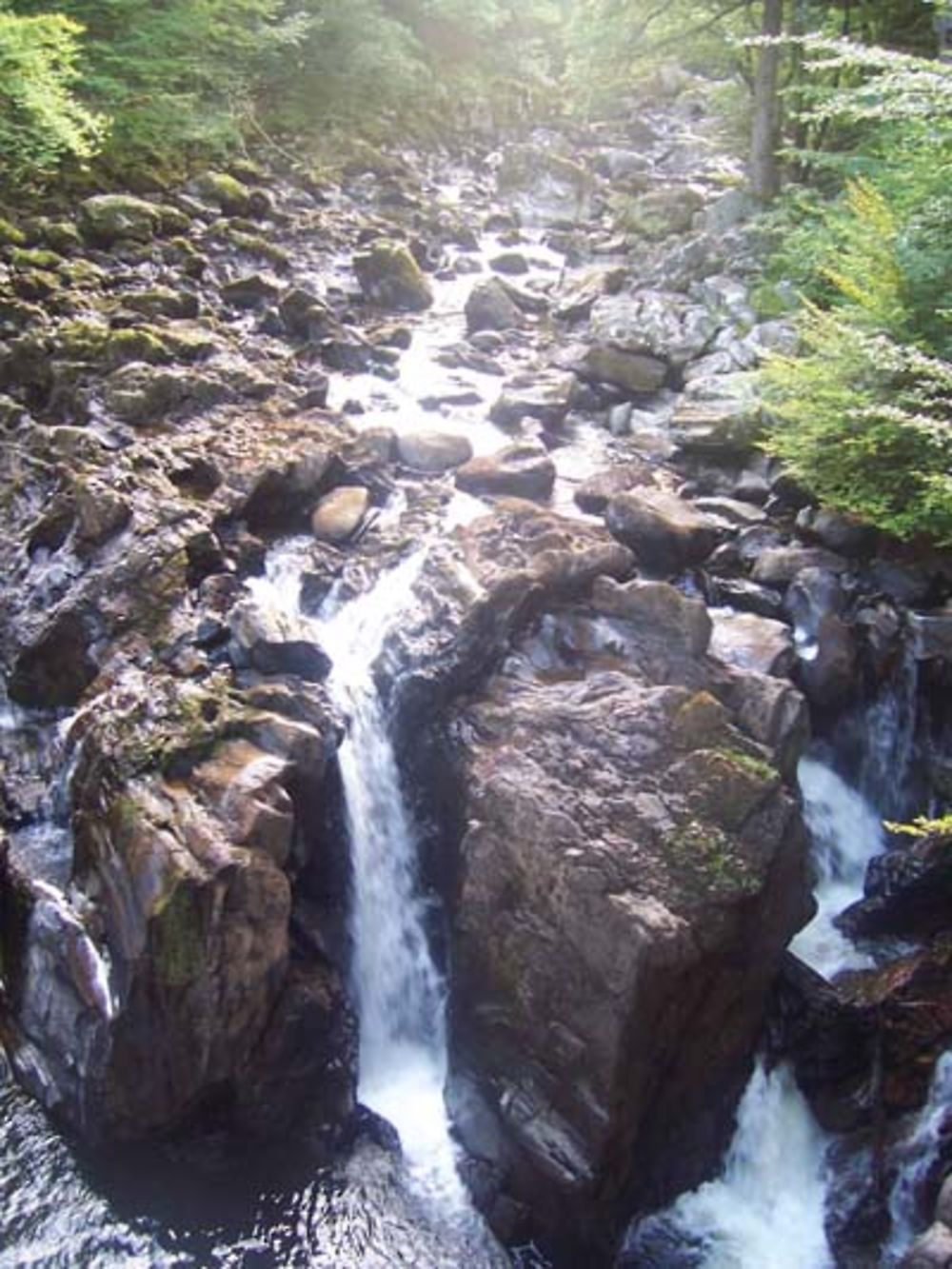 Waterfall at the Hermitage