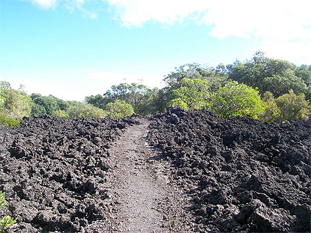 Les chemins sur le volcan Rangitoto Les chemins sur le volcan Rangitoto