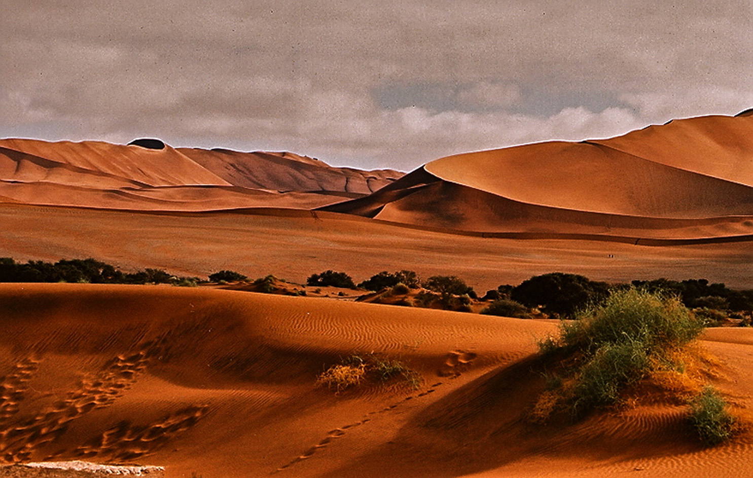 Désert Du Namib : Désert : Sossusvlei : Naukluft Park : Désert Du Namib ...