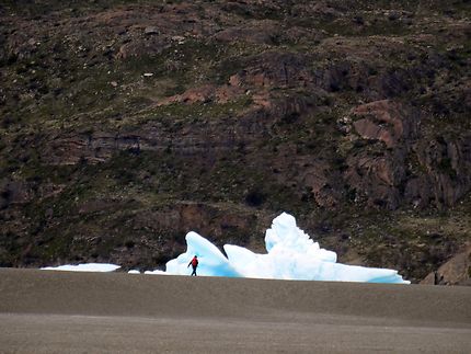 Iceberg sur la plage