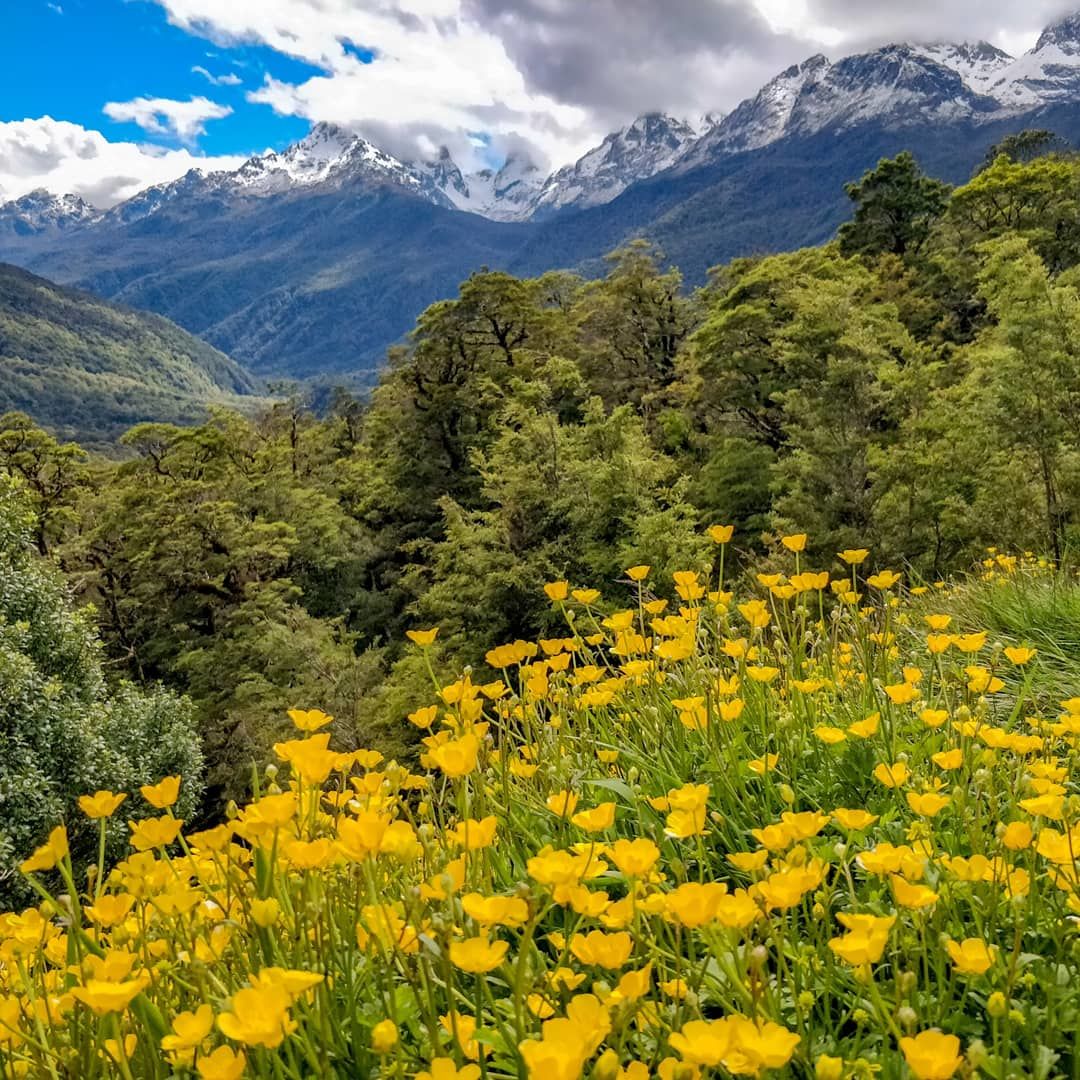 Wild New Zealand, Fiordland National Park