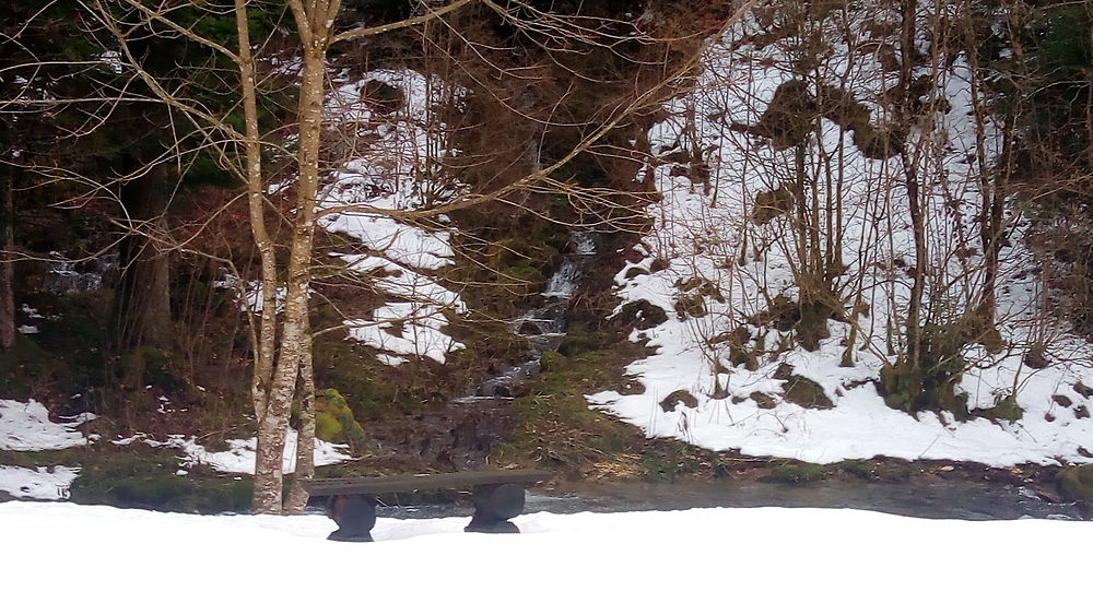 La cascade des Nans, figée dans le Jura