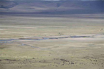 Cratère de Ngorongoro