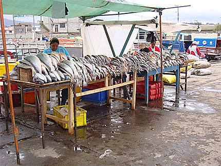 Vente de poissons sur le marché