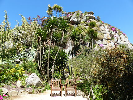 Rocher rocailles du jardin de Roscoff
