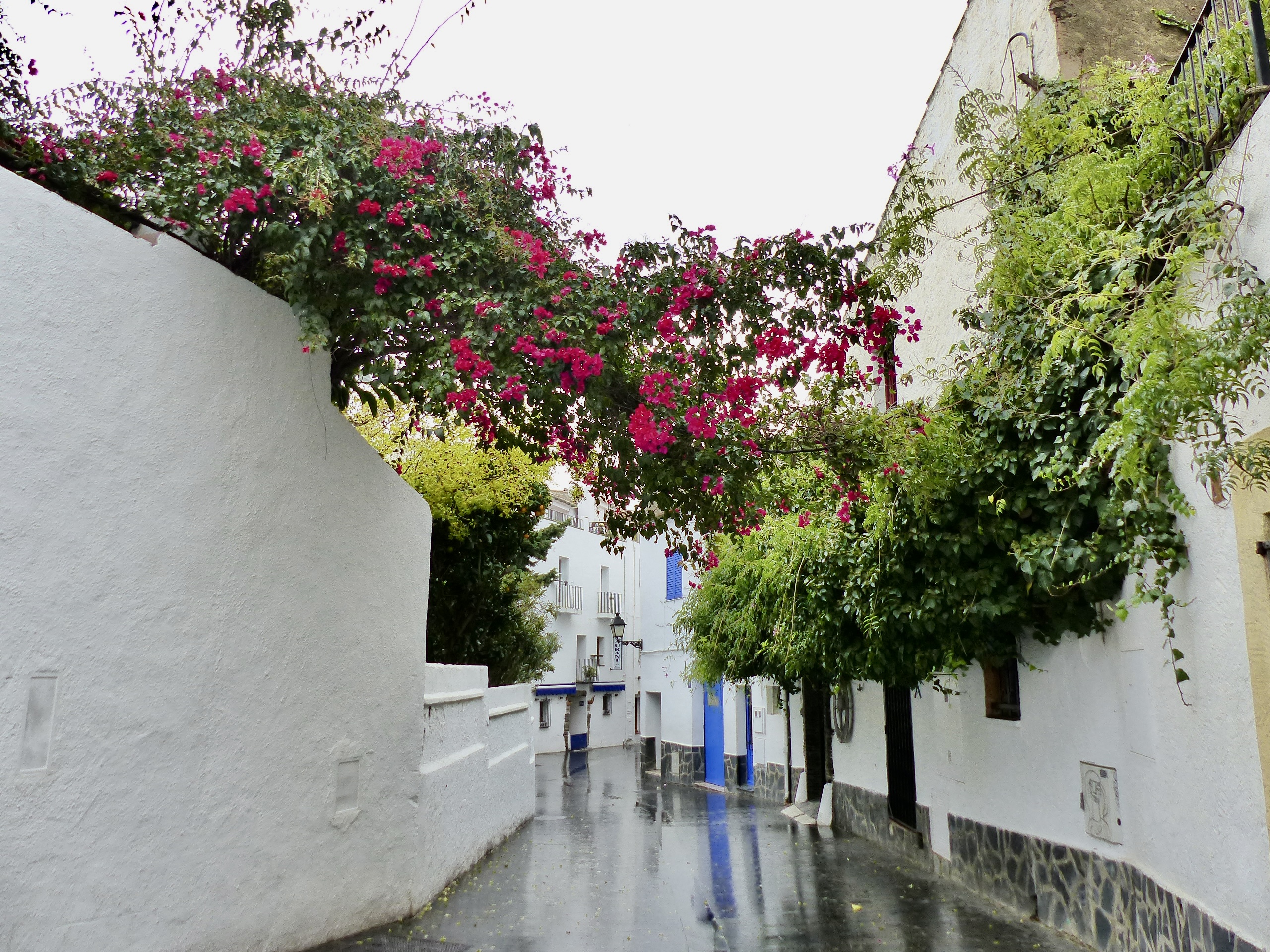 Dans les jolies ruelles : Village : Cadaqués : Costa Brava et Gérone :  Catalogne : Routard.com