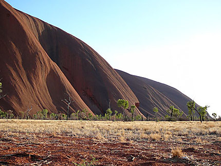 Uluru - Couleurs du matin