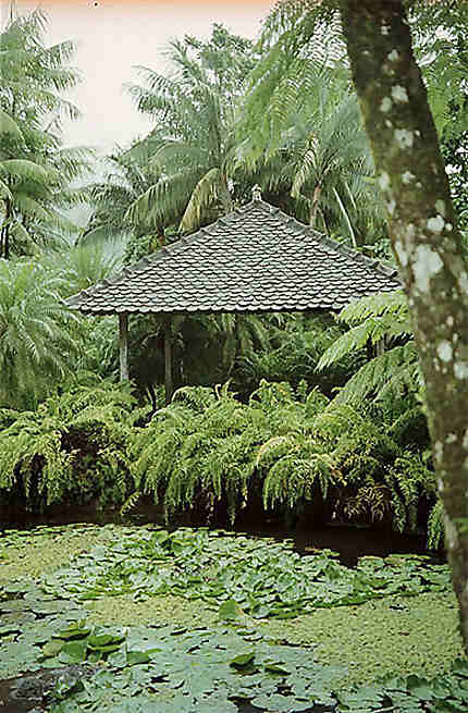 Jardin Martiniquais