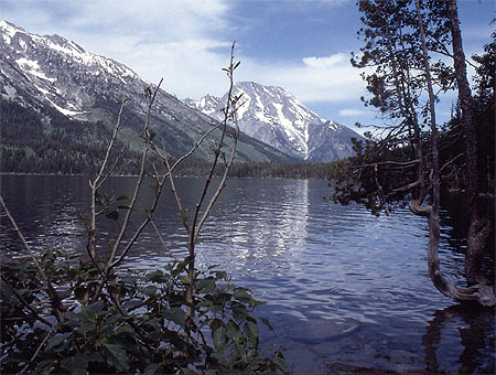 Grand Teton NP. Jenny Lake Grand Teton NP. Jenny Lake