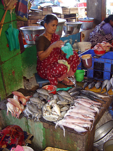 Marché aux poissons dans le Tamil Nadu