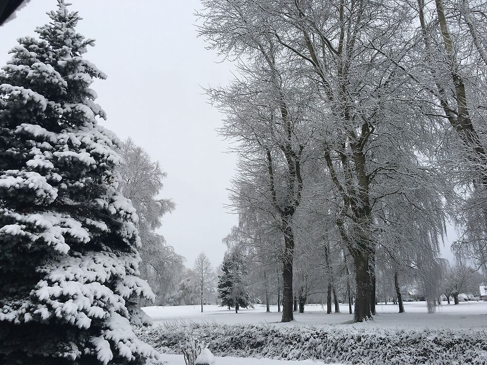 Golf de Bondues sous la neige 