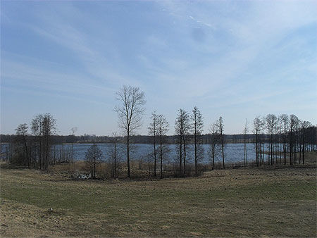 Lac dans le parc de la Dzukija