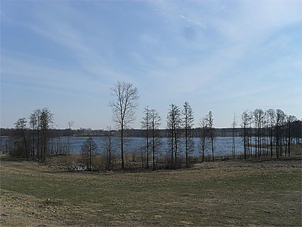 Lac dans le parc de la Dzukija