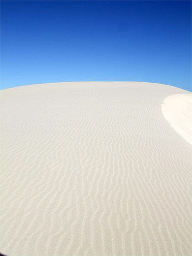 les dunes d'Eucla, Nullarbor les dunes d'Eucla, Nullarbor