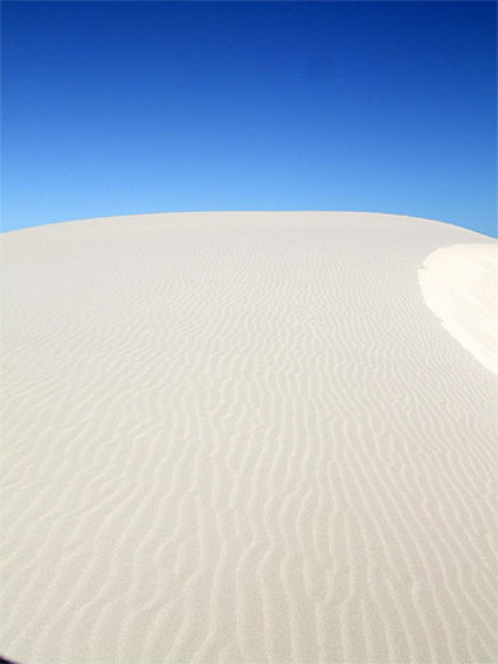 les dunes d'Eucla, Nullarbor