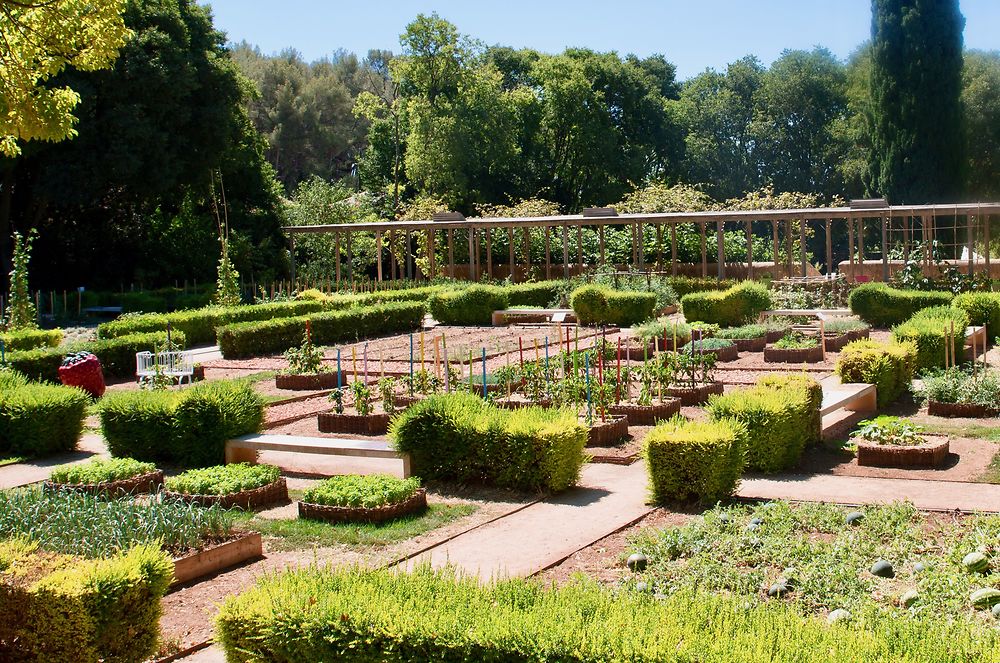 Un jardin méditerranéen 