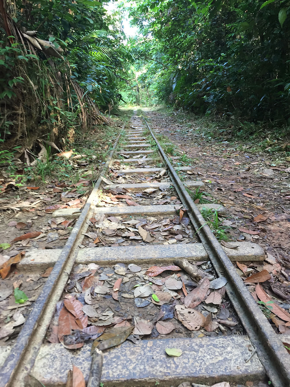 Le sentier des Annamites