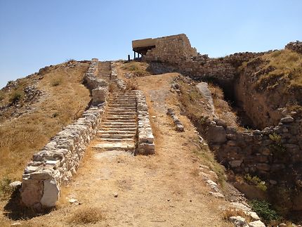 Le site archéologique méconnu de Umayri