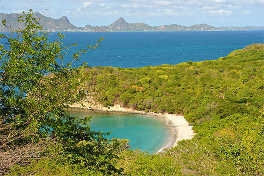 Carriacou - Anse La Roche