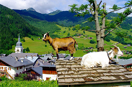 En Beaufortain En Beaufortain